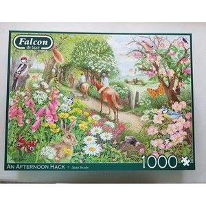 Falcon de luxe An Afternoon Hack 1000 pc Jigsaw Puzzle 2019 Complete Pre Owned